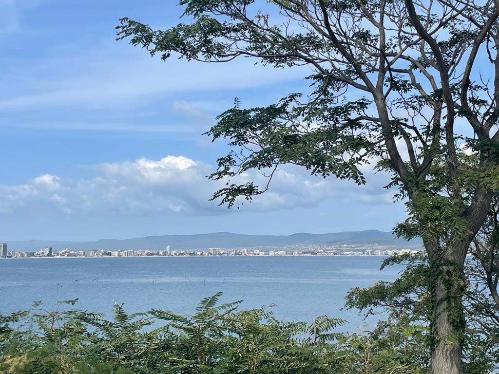 Apartment Sunny Beach Plaza 100 M Sea 외부 사진